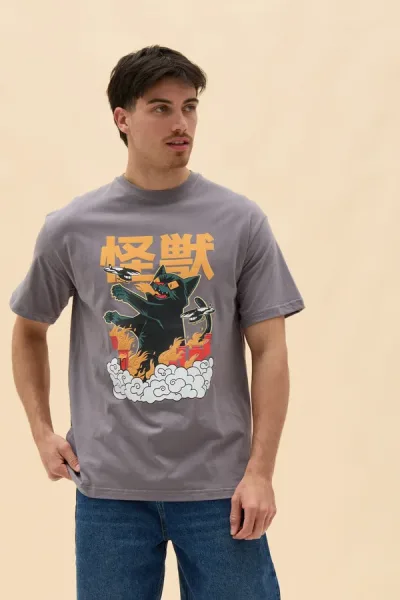 REMERON BLACK CAT