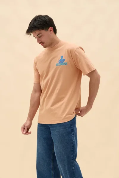 REMERON TROLOGY