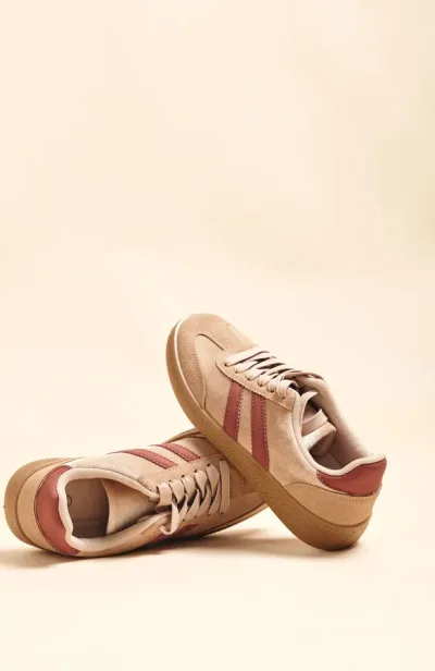 CHAMPION IBERIS