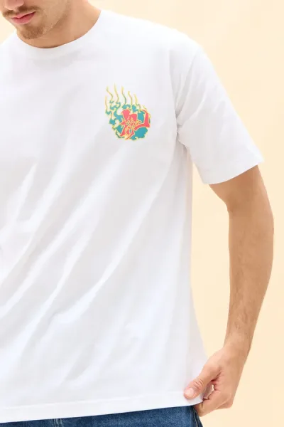 REMERON CARA DRAGON
