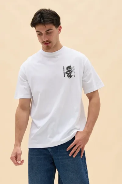REMERON DRAGON