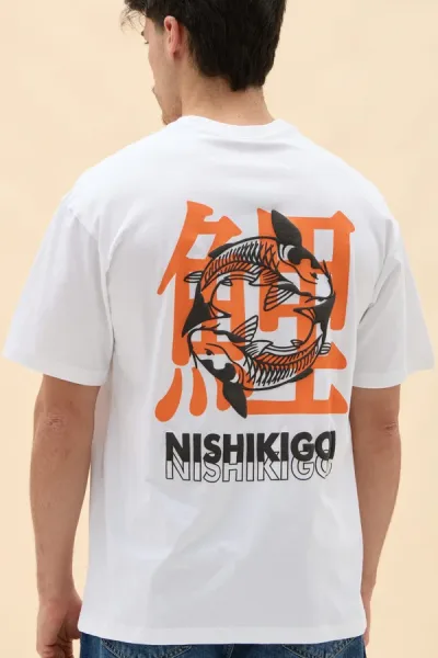 REMERON NISHIKIGOI