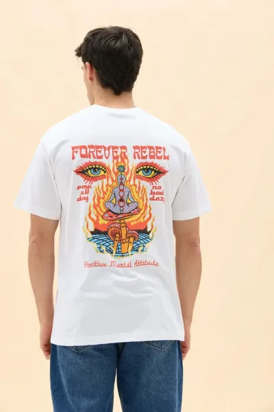 REMERON REBEL