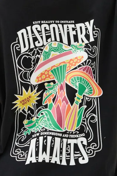 REMERON DISCOVERY