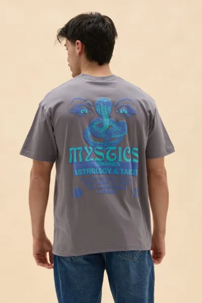 REMERON TROLOGY
