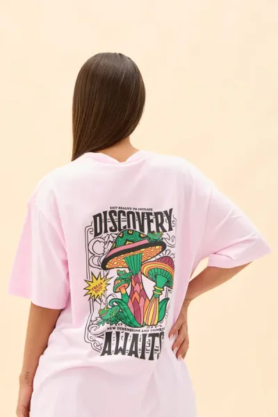 REMERON DISCOVERY