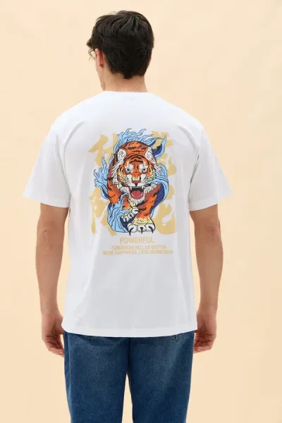 REMERON POWERFUL