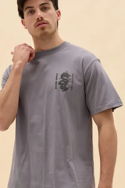 REMERON DRAGON