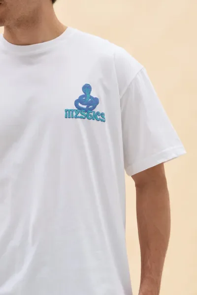 REMERON TROLOGY