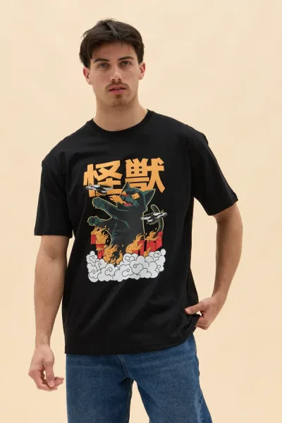 REMERON BLACK CAT